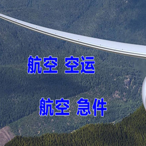 音布鲁克航空托运快递-选东方航空和上海航空