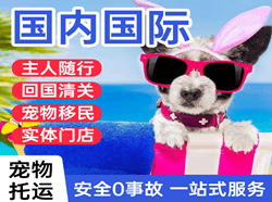 音布鲁克航空托运国际宠物托运 【国