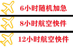 音布鲁克航空托运快递公司,专业空运当天件